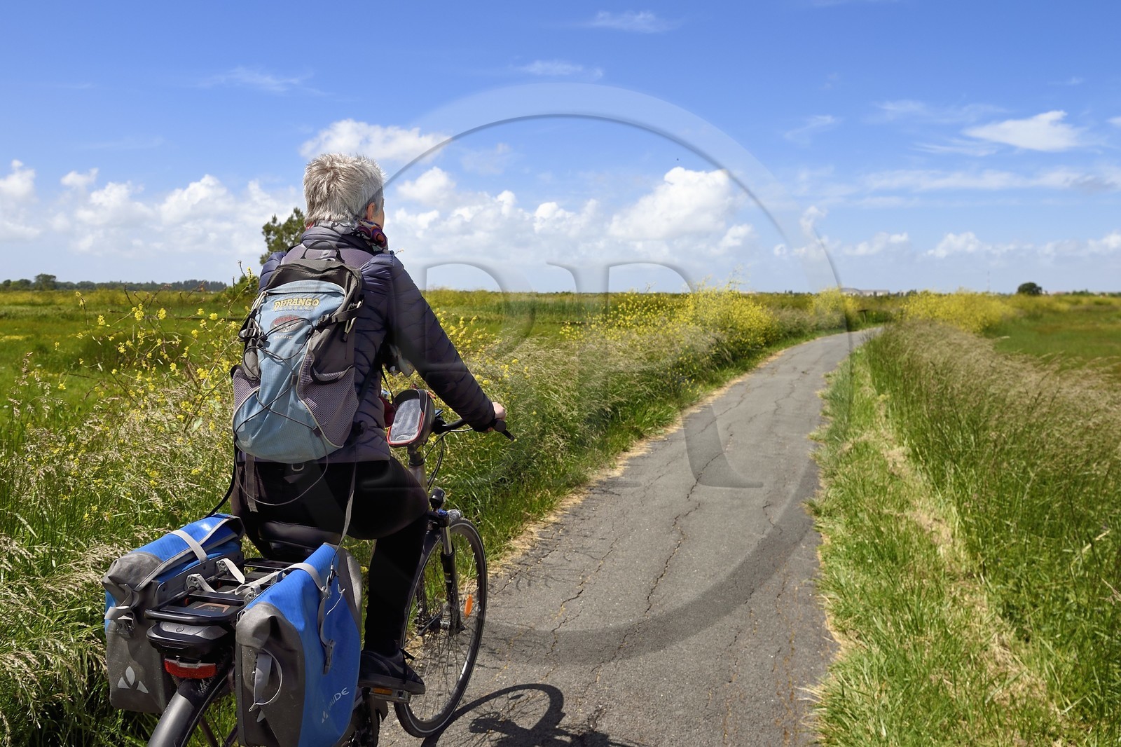 France, Charente-Maritime (17), Rochefort, cyclistes sur la véloroute La Flow Vélo dans les zones inondables de l'estuaire de la Charente