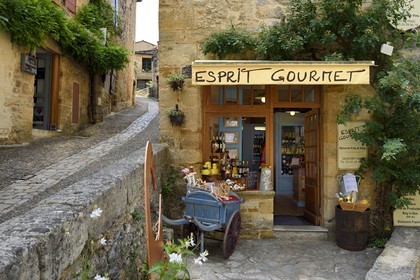 France, Dordogne (24), Périgord Noir, vallée de la Dordogne, Beynac-et-Cazenac, labellisé Les Plus Beaux Villages de France, rue Tibal Lo Garel