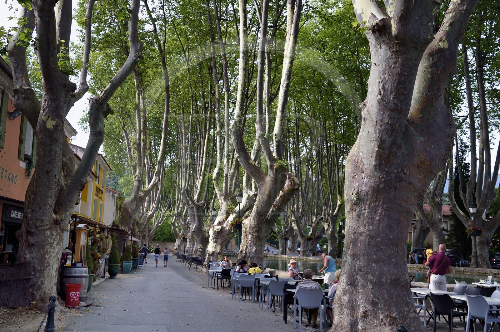 France, Vaucluse (84), Parc Naturel Regional du Luberon, Cucuron, labellisé Les Plus Beaux Villages de France, bassin de l'étang qui alimentait un moulin entouré de platannes centenaires