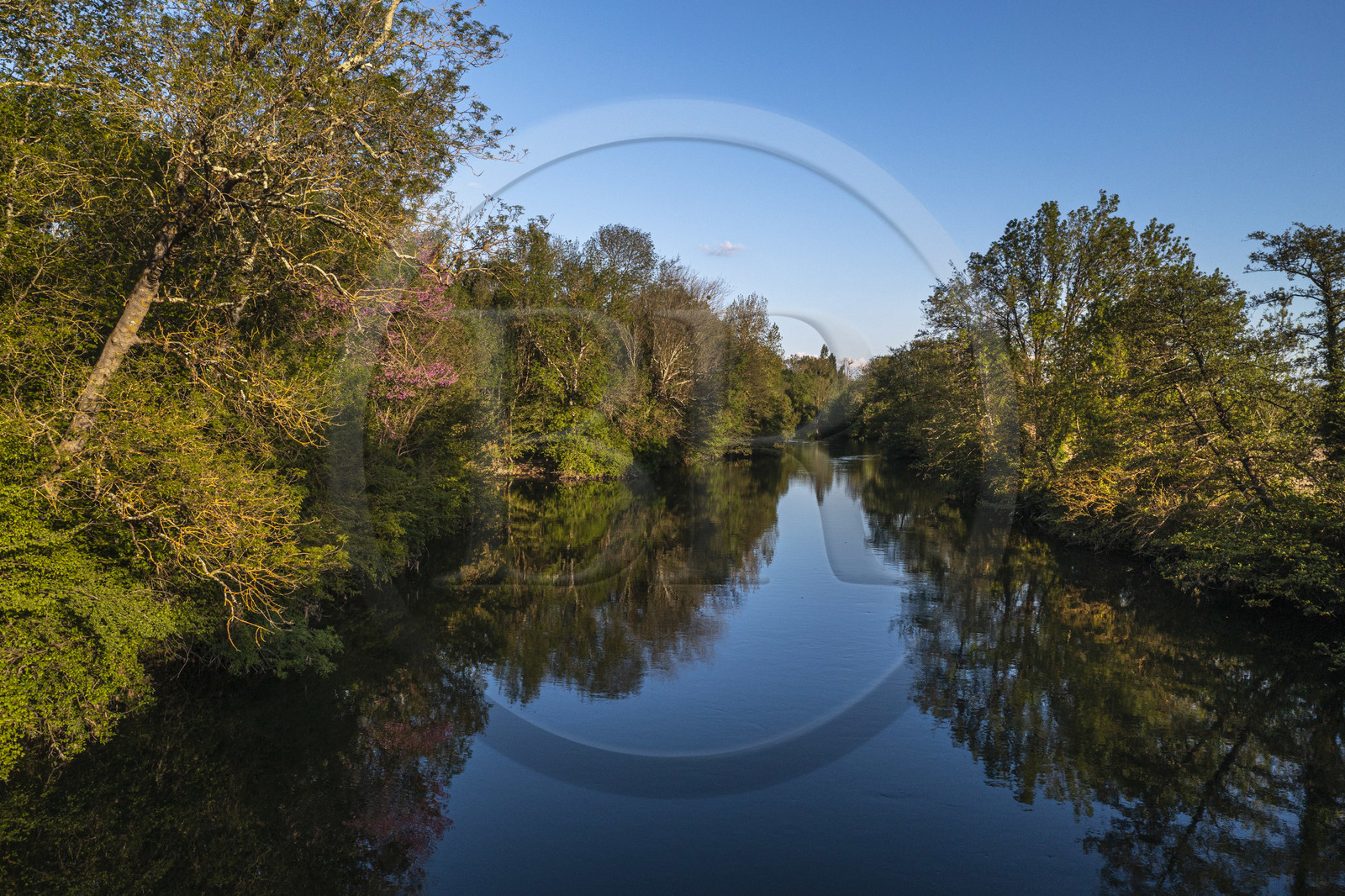 France, Charente (16), Saint-Simon, La Charente encore très nature en amont du village et l'ancien chemin de halage devenu aujourd'hui la véloroute la Flow Vélo sur la droite(vue aérienne)
