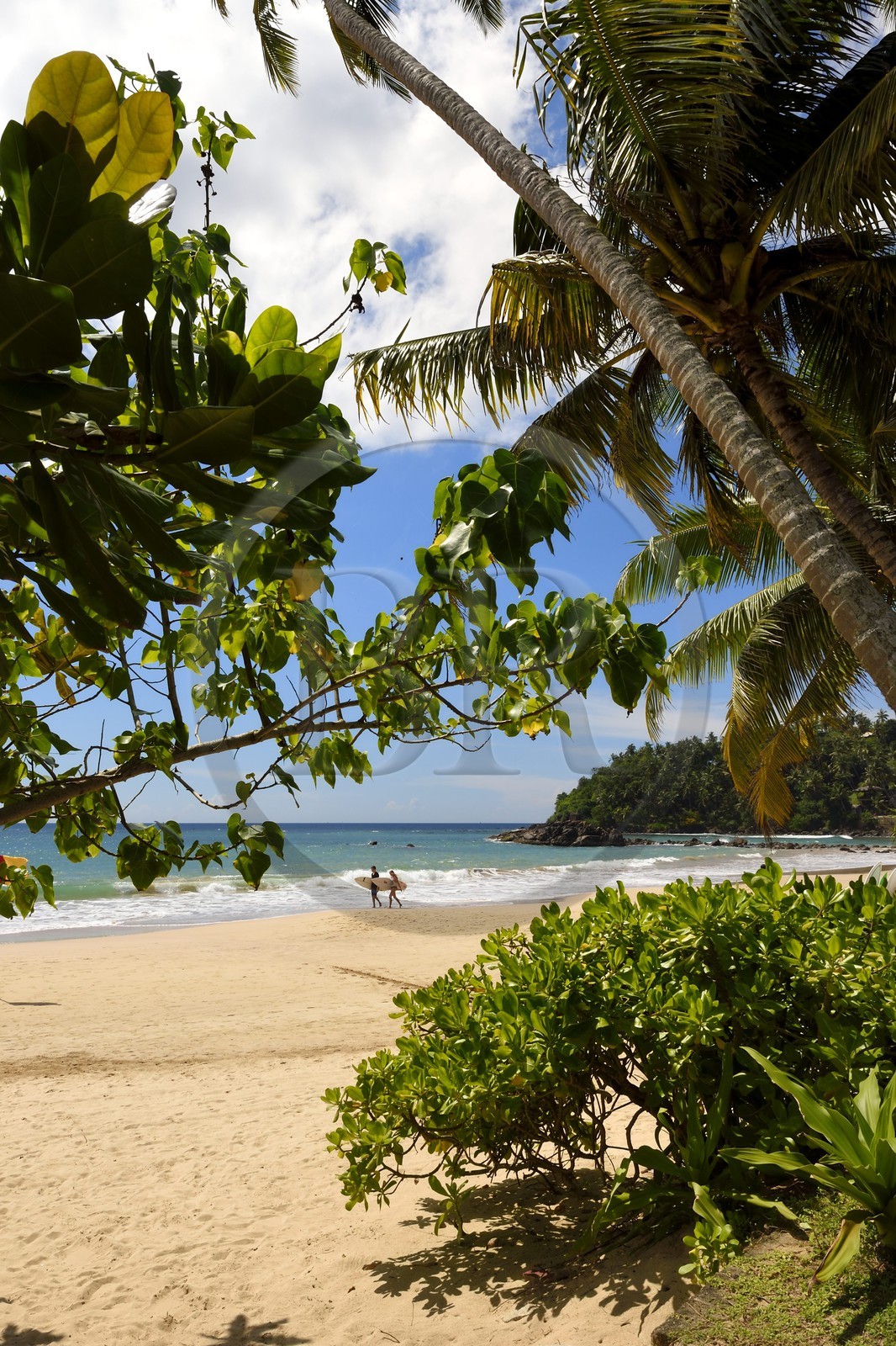 Sri Lanka, Province du Sud, Weligama, plage de Mirissa
