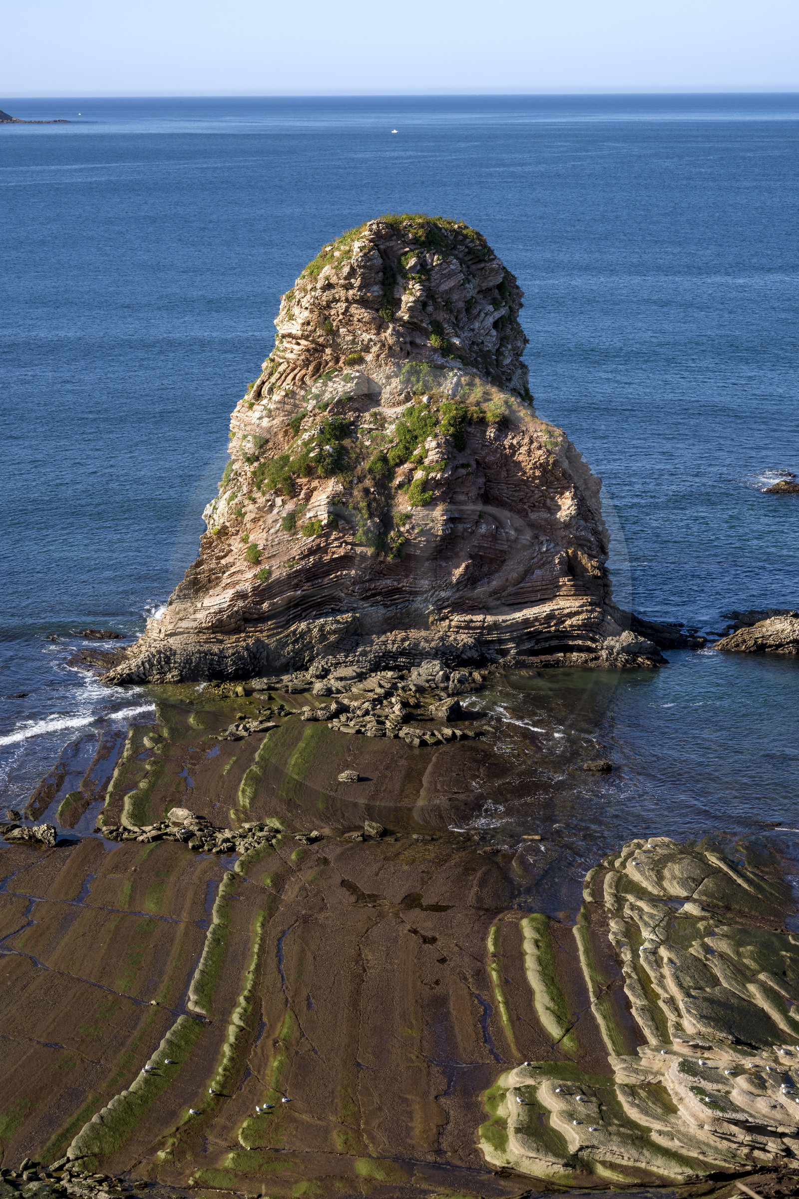 France, Pyrénées-Atlantiques (64), la côte du Pays-Basque, le domaine d'Abbadia géré par le Conservatoire du littoral, rochers des Jumeaux aux falaises de la pointe Sainte-Anne