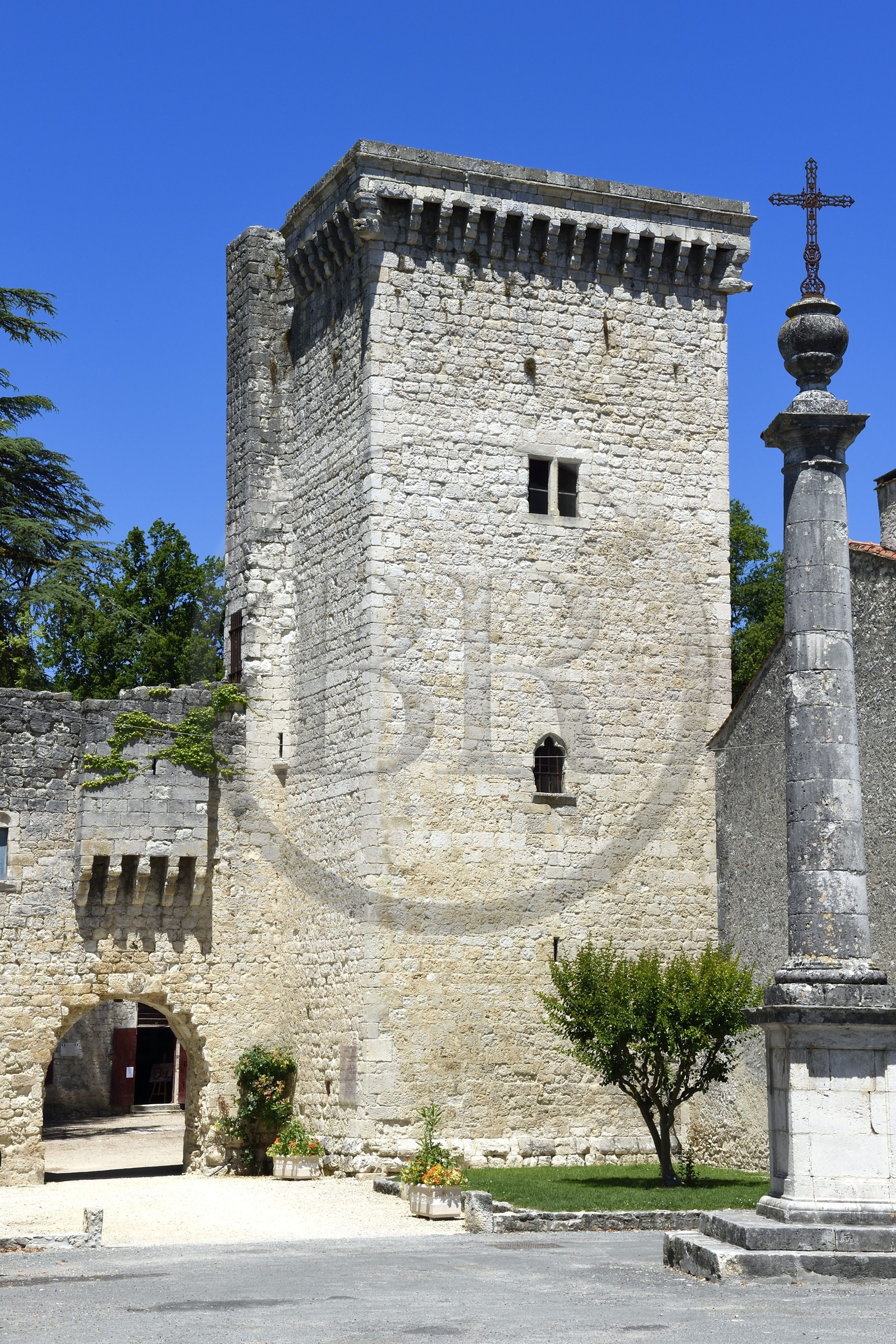 France, Dordogne, Perigord Pourpre, Eymet, the Eymet castle with the South Gate and the tour Monseigneur (Bishop tower)