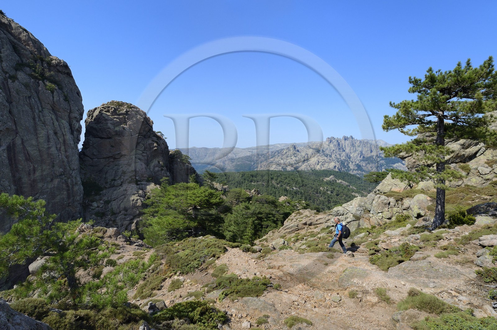 France, Corse du Sud, Alta Rocca, hiking in the massif of Bavella at the Punta Velacu
