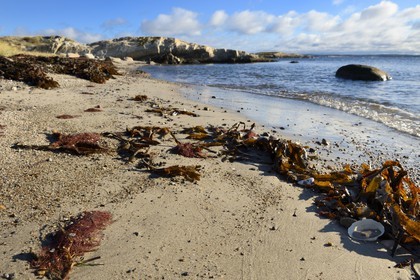 Sweden, Västra Götaland, Koster Islands, Sydkoster sandy beach