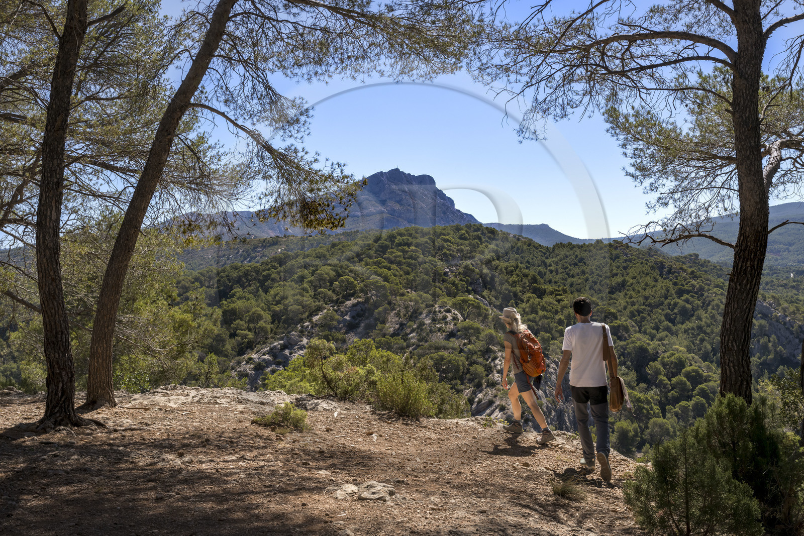 France, Bouches-du-Rhône (13), Aix en Provence, randonneurs sur le plateau de Bibemus et la montagne Sainte Victoire en arrière plan