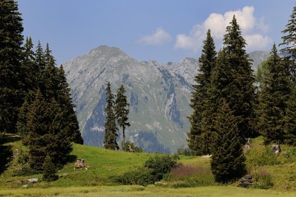 Suisse, Canton de Vaud, Villars sur Ollon, hameau de Bretaye