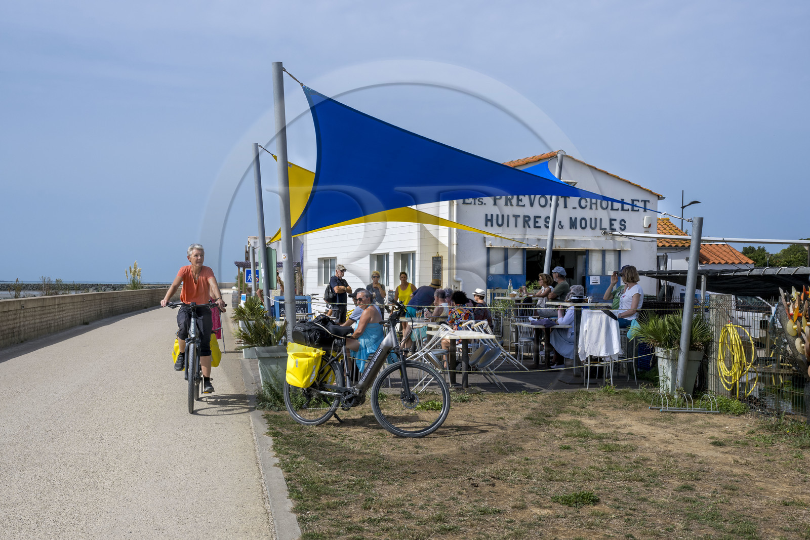 France, Charente Maritime, Yves, live sale and tasting of mussels and oysters at Les Boucholeurs along the Vélodyssée cycle path at the Boucholeurs seafront