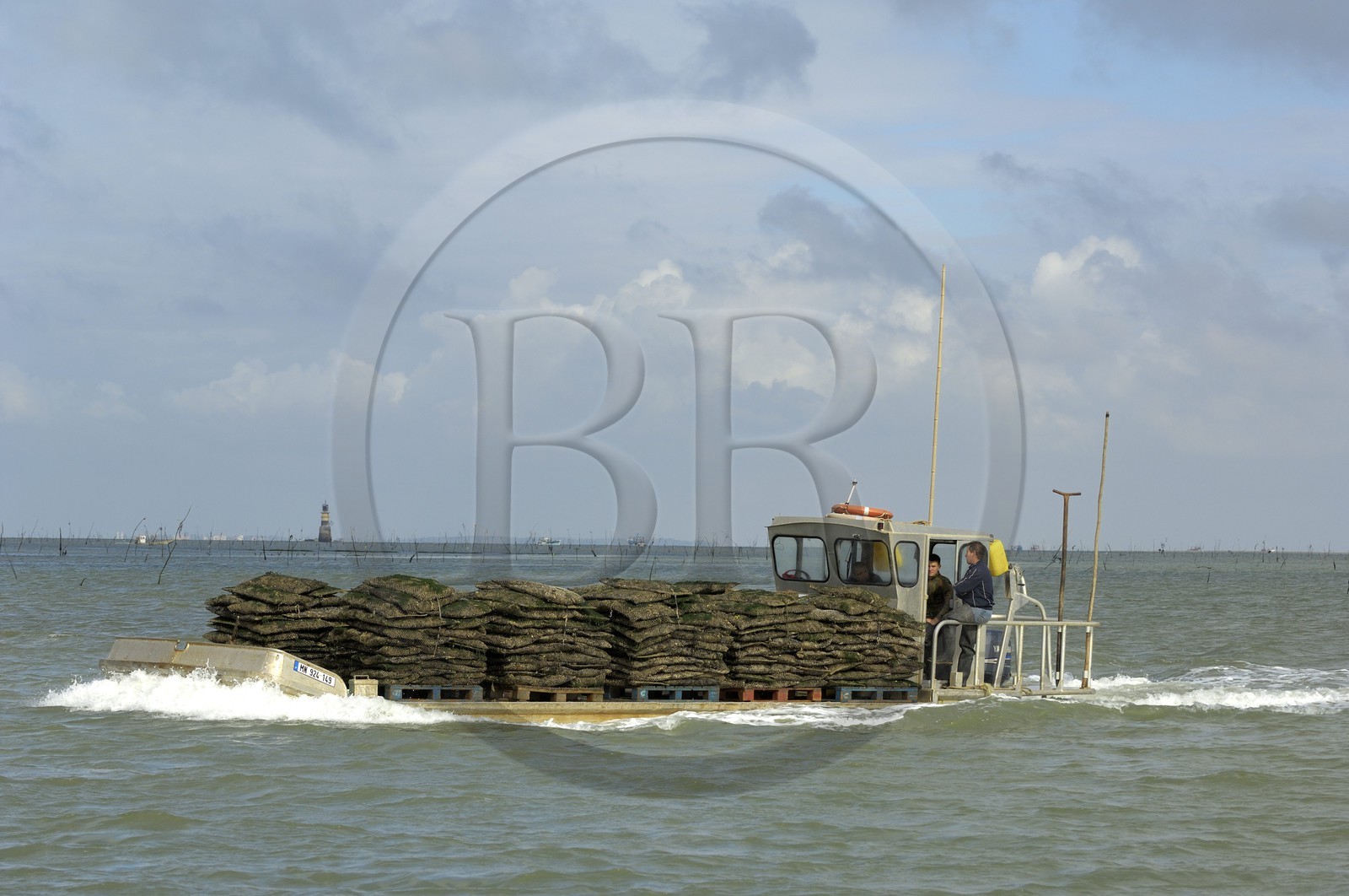 France, Charente-Maritime (17), le bassin Marrennes-Oléron au large de l'Ile d'Oléron, chaland à huîtres