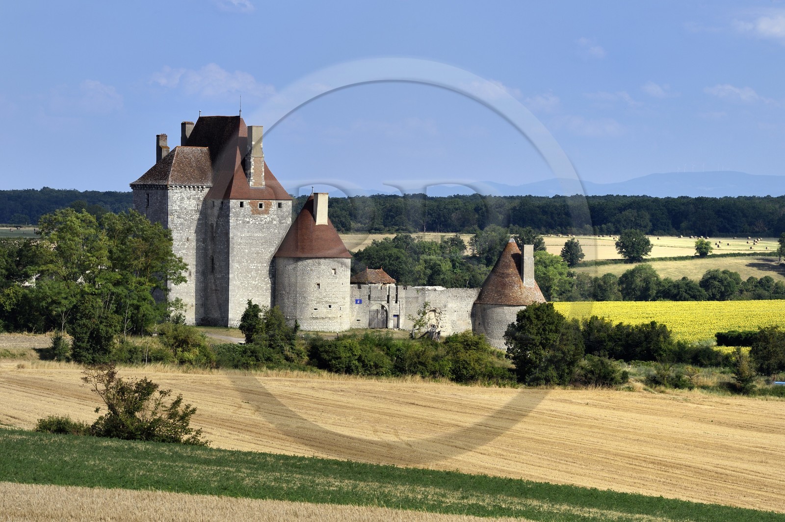 France, Allier (03), former province of Bourbonnais, Besson, Fourchaud castle (14th century to 16th century) now belonging to the descendants of the Bourbon-Parma