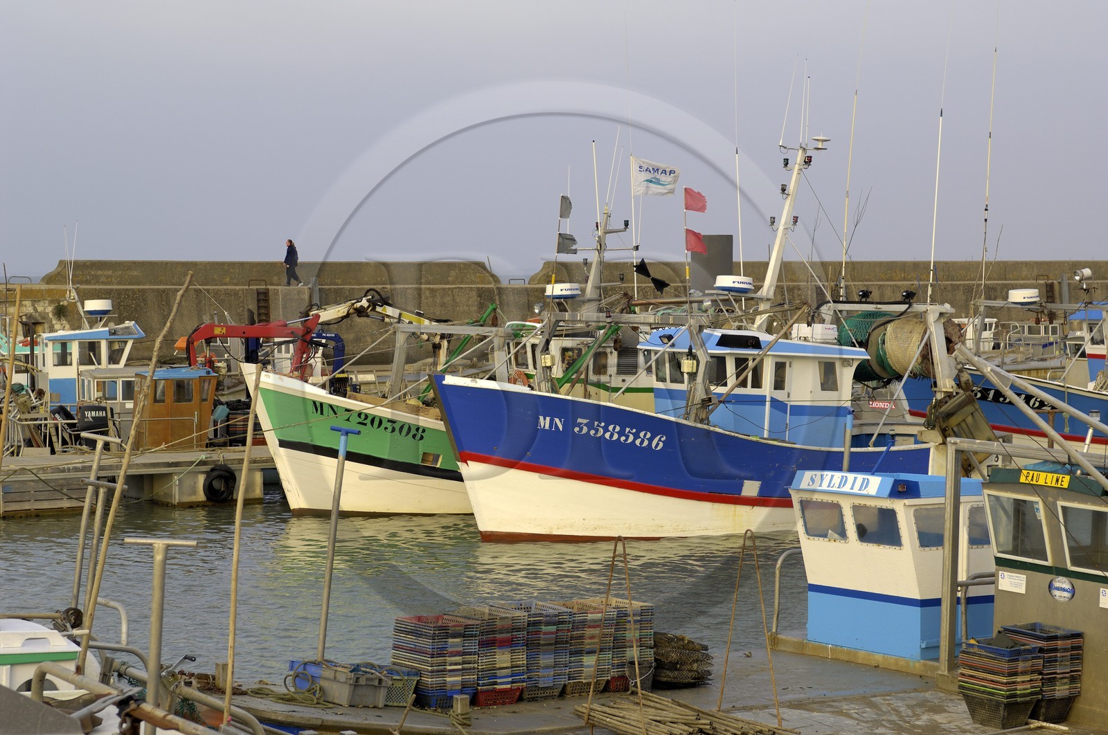 France, Charente-Maritime (17), bassin de Marennes-Oléron, Bourcefranc-le-Chapus, le port