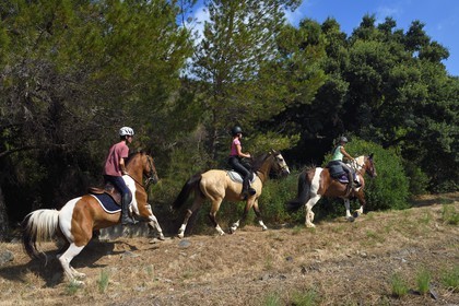 France, Var (83), Agay commune de Saint-Raphaël, cavaliers en randonnée dans le massif de l'Estérel