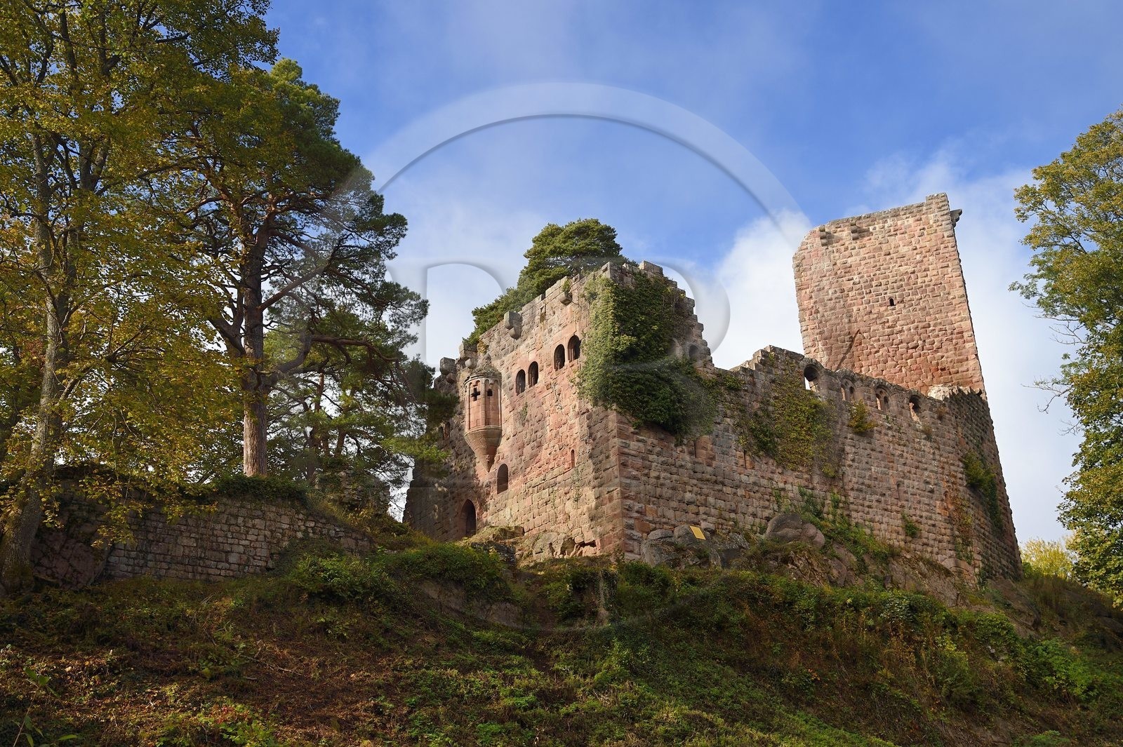 France, Bas Rhin, Heiligenstein, 13th century Landsberg castle, stately home and oriel which houses the choir of the castle chapel