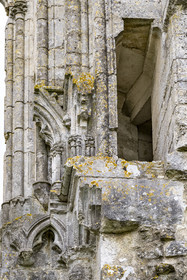 France, Vendée (85), Parc Interrégional du Marais Poitevin labellisé Grand Site de France, Maillezais, vestiges de l'abbaye Saint-Pierre de Maillezais, détail des murs de l'église abbatiale