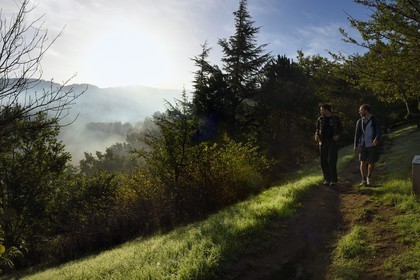 France, Var (83), Massif des Maures, Collobrières, le sentier botanique au dessus du village au petit matin