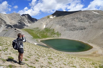 France, Alpes de Haute Provence, Uvernet Fours, Mercantour National Park, Ubaye valley, lake tour hiking trail of the Cayolle pass, park ranger on observation above the Garrets lake