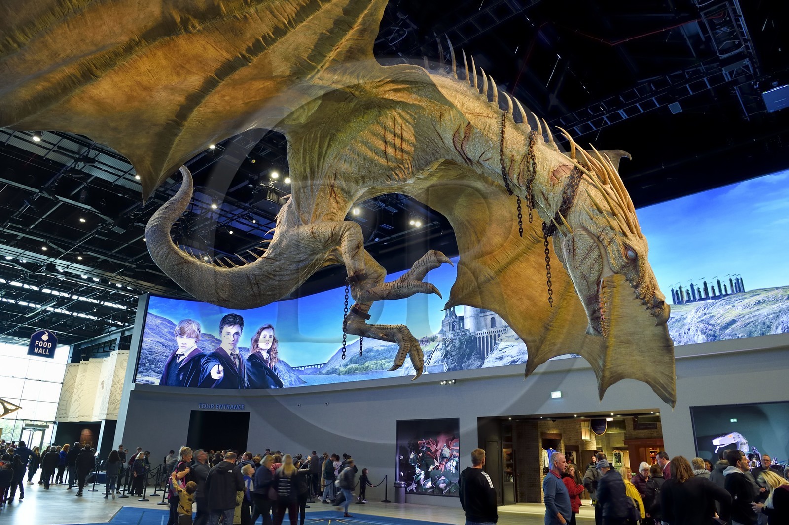 United Kingdom, Hertfordshire, Leavesden, Leavesden Film Studios, Harry Potter Studio Tour London, the scene of the eight Harry Potter movies' making of, giant flying dragon overlooking the visitors at the entrance of the exhibition