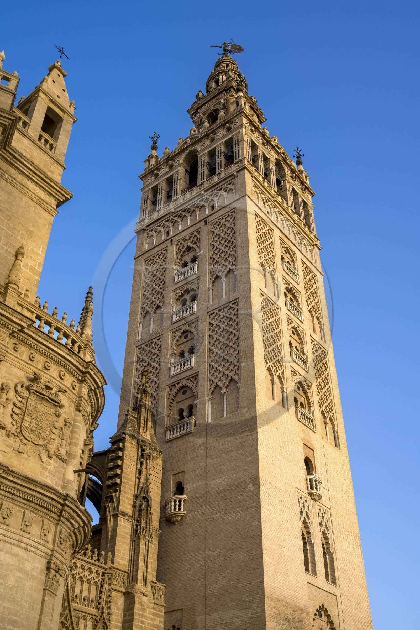 Espagne, Andalousie, Séville, quartier de Santa Cruz, la Giralda, ancien minaret almohade de la Grande Mosquée reconverti en clocher de la cathédrale, classé Patrimoine Mondial de l'UNESCO
