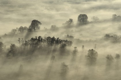 France, Calvados (14), La Rivière-Saint-Sauveur, la campagne au pied du Pont de Normandie à l'aube