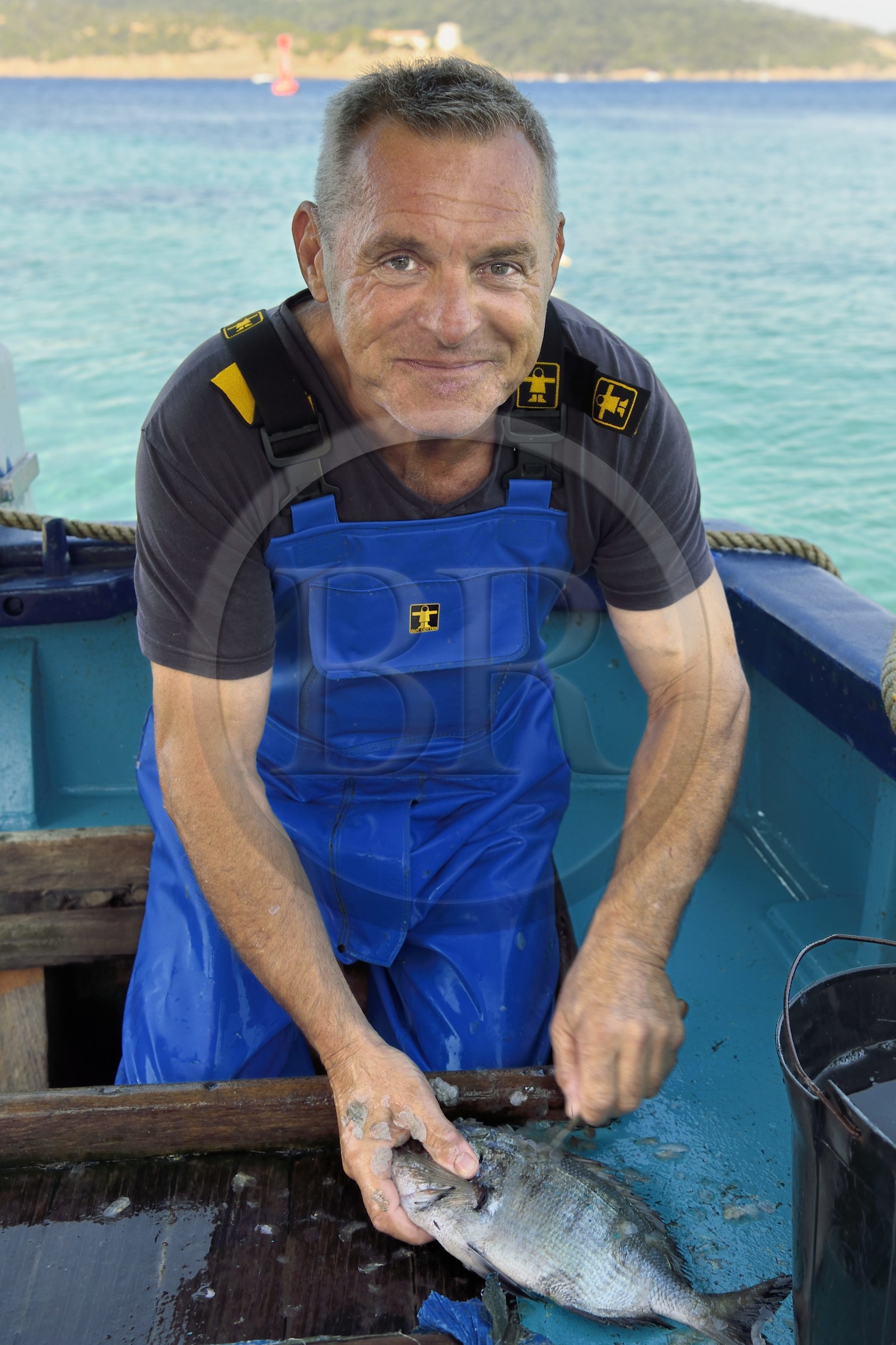 France, Var (83), Iles d'Hyères, Parc national de Port Cros, Ile du Levant, domaine naturiste d'Héliopolis, Christophe et Brigitte Chevallier, seuls pêcheurs professionnels d'Héliopolis, proposent leur pêche à leur retour au port, nettoyage des poissons de la pêche