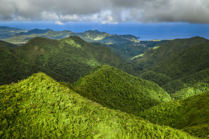 Caraïbes, Ile de la Dominique, Parc national du Morne Trois Pitons classé Patrimoine Mondial de l'UNESCO, la forêt tropicale au pied du Morne Trois Piton et la côte Est en arrière plan (vue aérienne)
