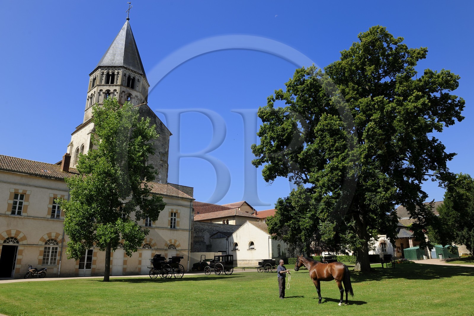 France, Saône et Loire (71), Cluny, le Haras national accolé au clocher de l'Eau Bénite de l'ancienne abbaye