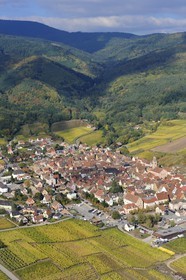 France, Haut-Rhin (68), Riquewihr et son vignoble au pied du massif des Vosges (photo aérienne)