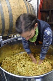 France, Bas Rhin, the Alsace Wine Route, Nothalten, Wine estate Philippe Sohler, fermentation tank, viticulturist Lydie Sohler works on a maceration of white grape variety