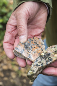 France, Côtes-d'Armor (22), Côte de Granit Rose, Trégastel, vallée des Grands Traouiero, échantillons de granit à gros grain qui se compose de quartz, de mica et de feldspath, rose mais aussi avec une dominante verte