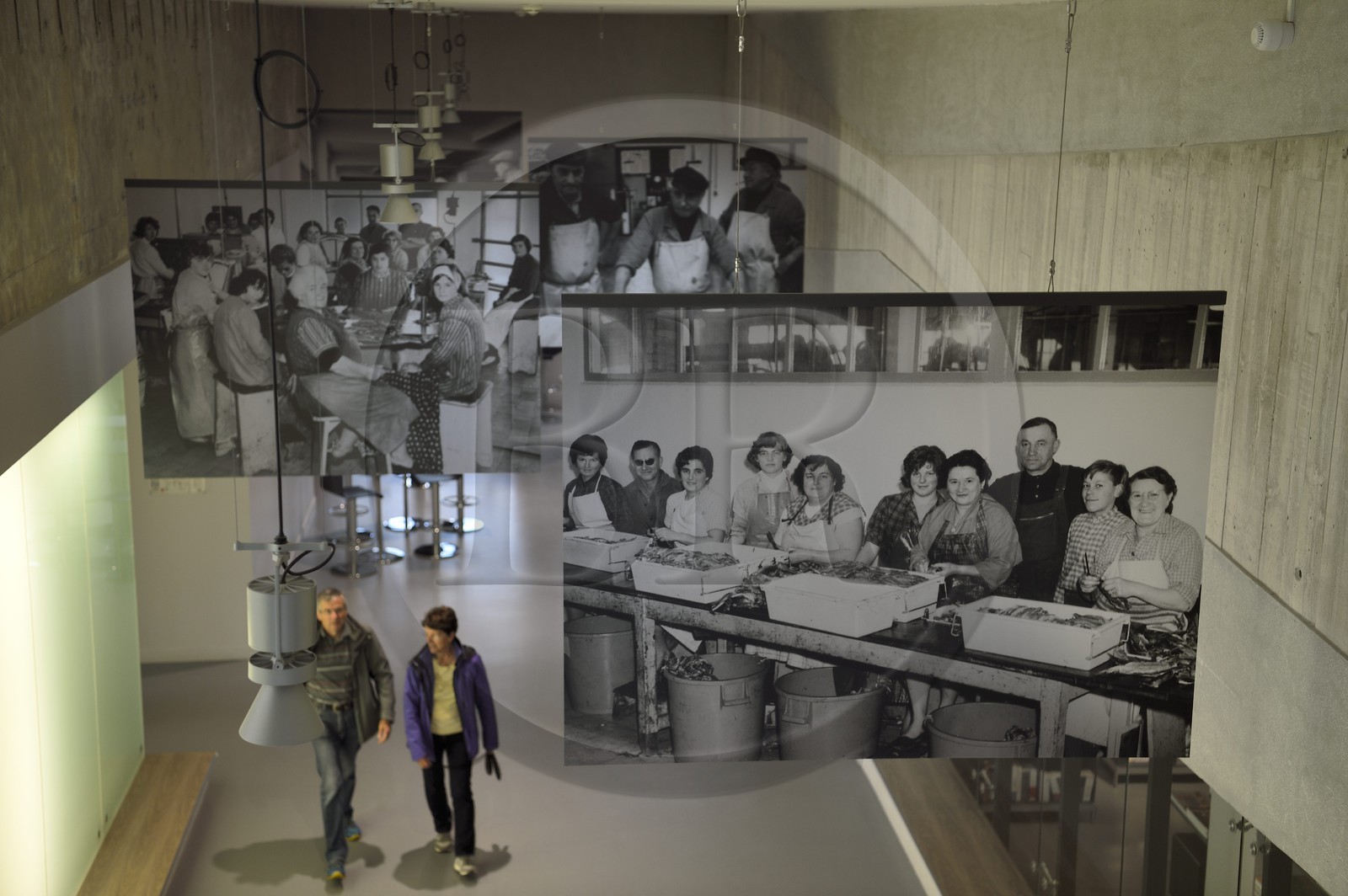 France, Seine-Maritime (76), Pays de Caux, Côte d'Albâtre, Les Pêcheries - Musée de Fécamp dans une ancienne sécherie de morue appartenant autrefois à l'armement morutier Les Pêcheries de Fécamp, photos en N&B des anciennes ouvrières au travail