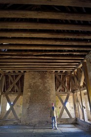 France, Allier (03), former province of Bourbonnais, Besson, Fourchaud castle (14th century to 16th century) now belonging to the descendants of the Bourbon-Parma, the Prince Charles Henri de Lobkowicz under the frame