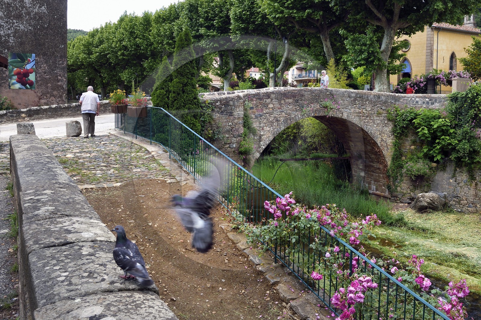 France, Var (83), Massif des Maures, Collobrières, le Pont Vieux