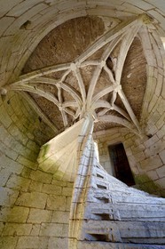 France, Dordogne (24), Rouffignac-Saint-Cernin-de-Reilhac, chateau de l'Herm, l'escalier en vis torsadée aboutissant à un palmier de pierre
