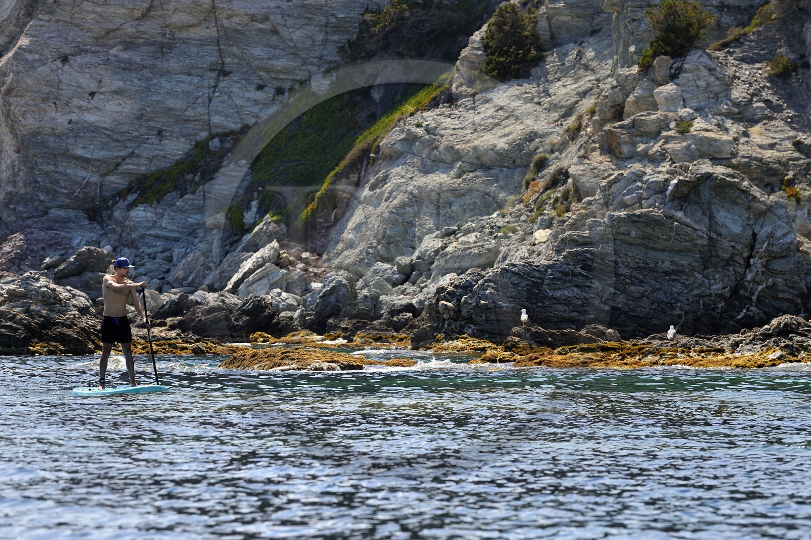France, Var (83), Six-Fours-les-Plages, Ile des Embiez, Pointe du Coucoussa, le champion de windsurf Freestyle Adrien Bosson en randonnée aquatique sur un paddle