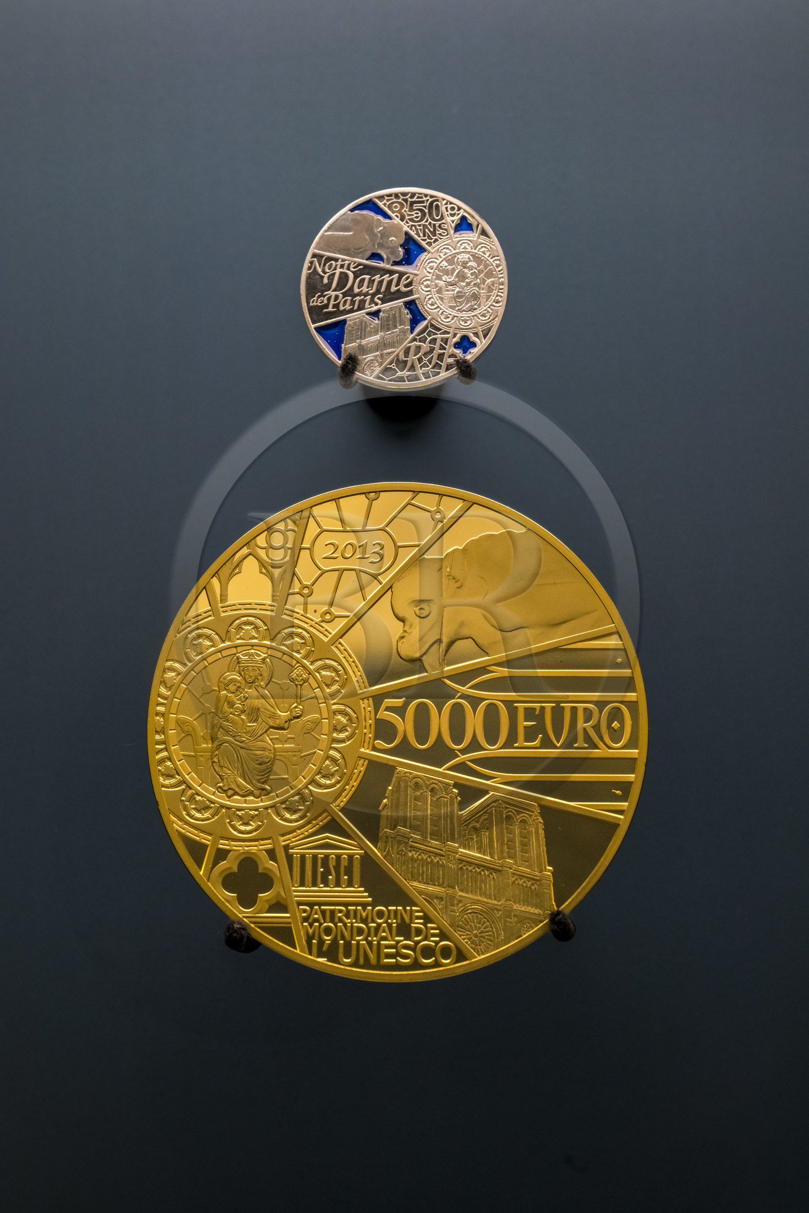 France, Paris (75), le musée de la Monnaie de Paris, pièces de monnaie en argent de 10 euros et en Or de 5000 euros  pour la célébration du 850ème anniversaire de Notre-Dame de Paris