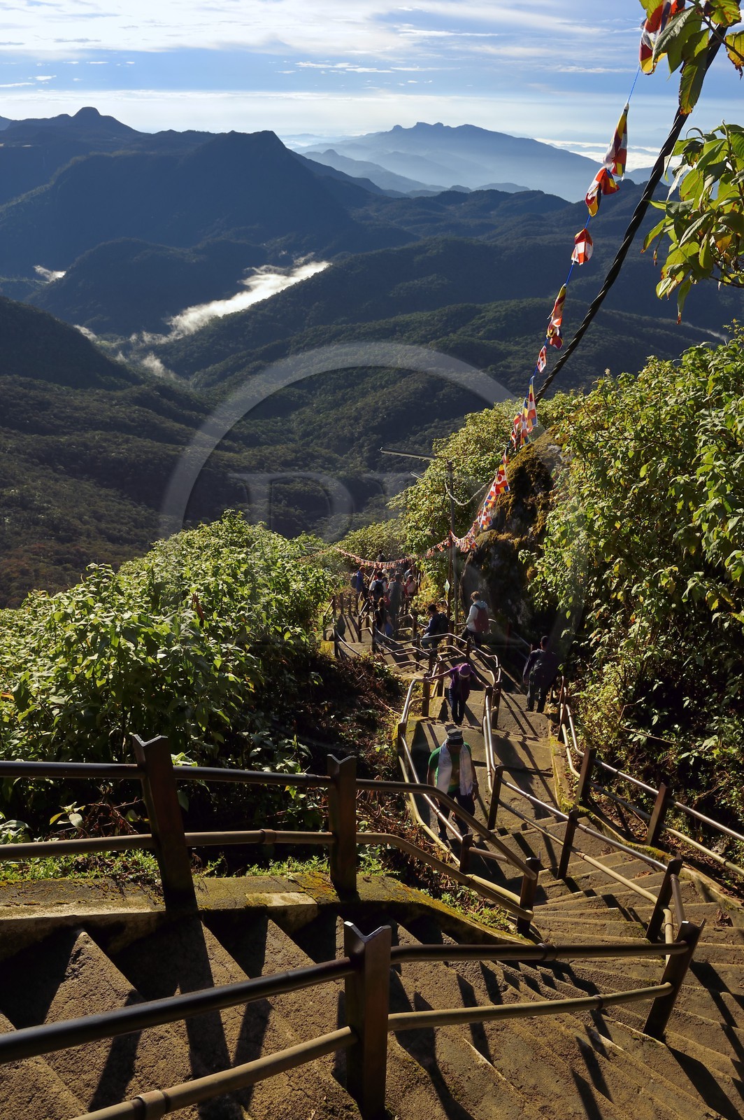 Sri Lanka, province du centre, Dalhousie, escalier menant au Pic d'Adam (Adam's Peak)
