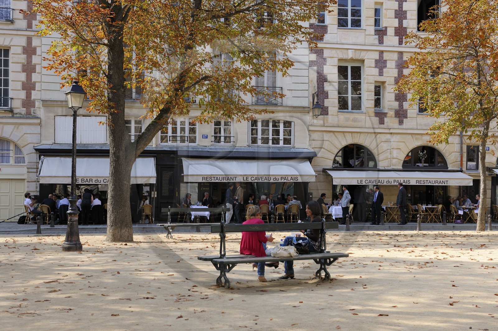 France, Paris (75), île de la Cité, place Dauphine