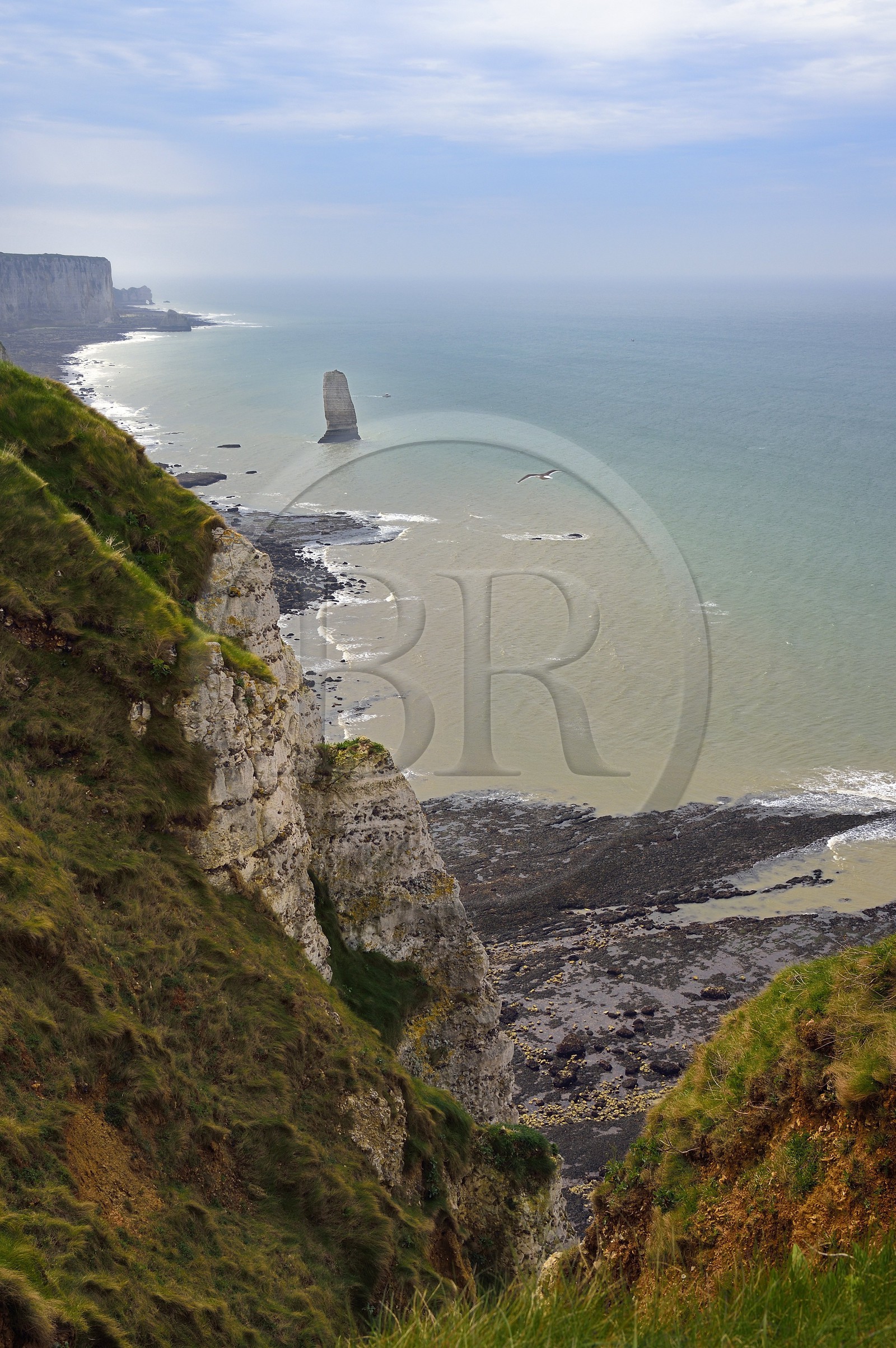 France, Seine-Maritime (76), Pays de Caux, Côte d'Albâtre, entre Etretat et Yport, aiguille de Belval et falaise à marée basse