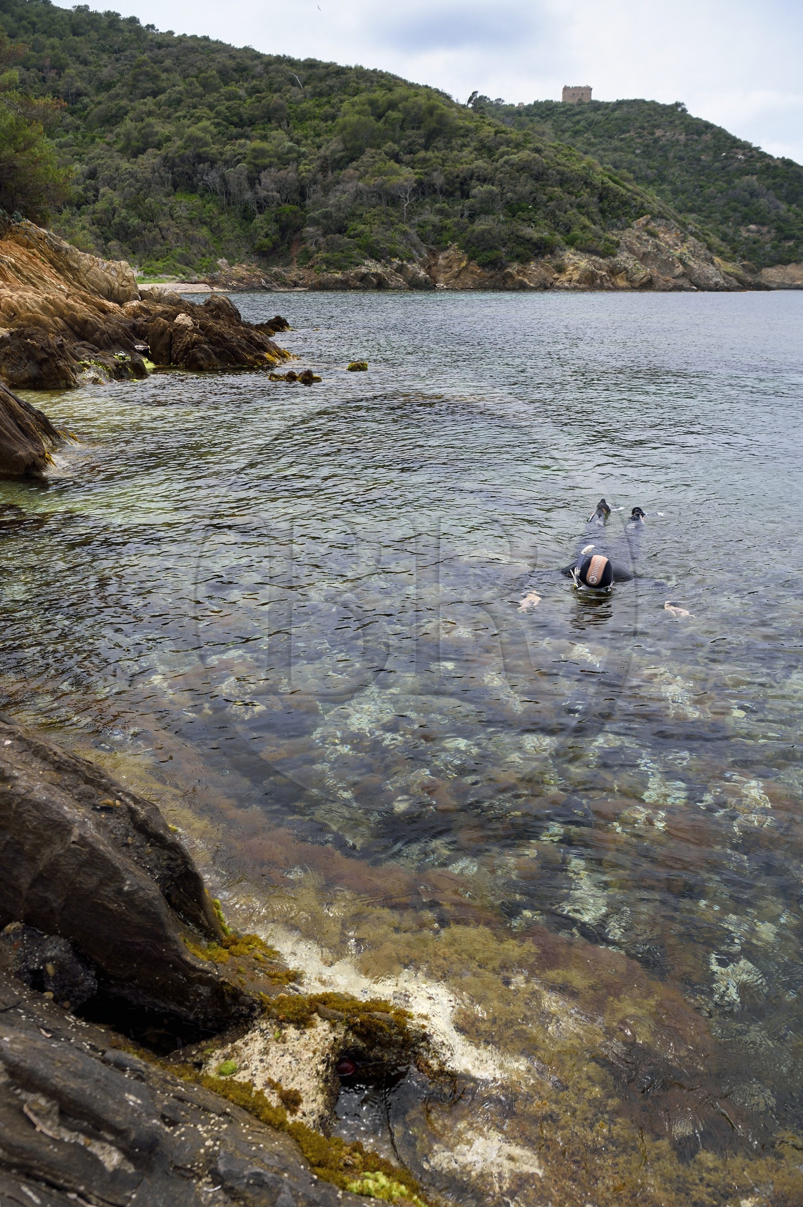 France, Var, Iles d'Hyeres, Parc national de Port Cros (National park of Port Cros), Port-Cros island, La Palud beach, rock Rascas, underwater trail of Palud