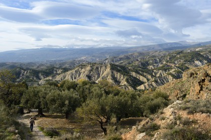 Spain, Andalusia, Almeria Province, Alcolea in the region of the Alpujarras, the Sierra Nevada in the background
