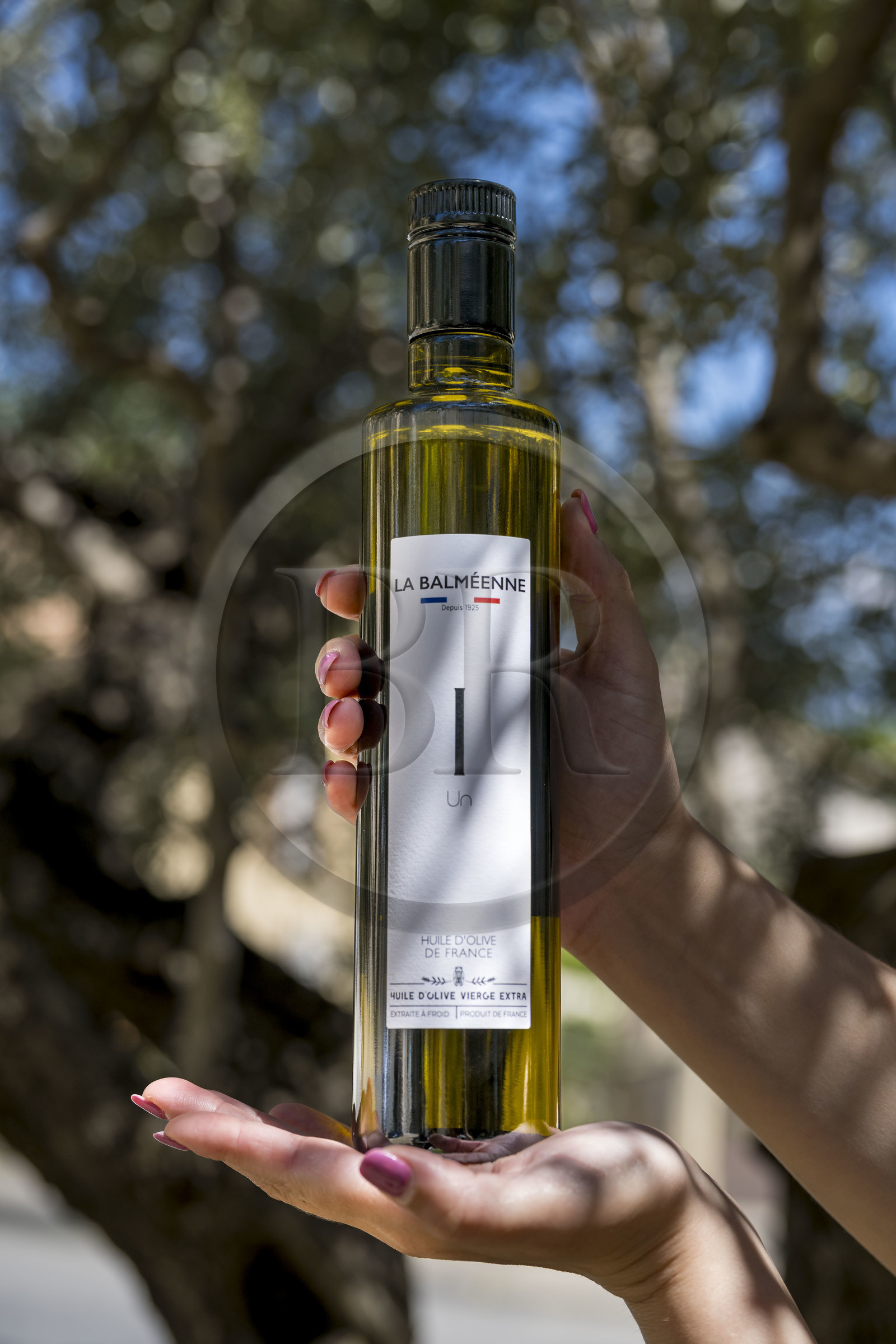 France, Vaucluse (84), Dentelles de Montmirail, Beaumes-de-Venise, Moulin à Huile La Balméenne, bouteille d'huile vierge extra extraite à froid produite par la coopérative