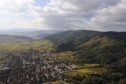 France, Haut-Rhin (68), Riquewihr et son vignoble au pied du massif des Vosges (photo aérienne)