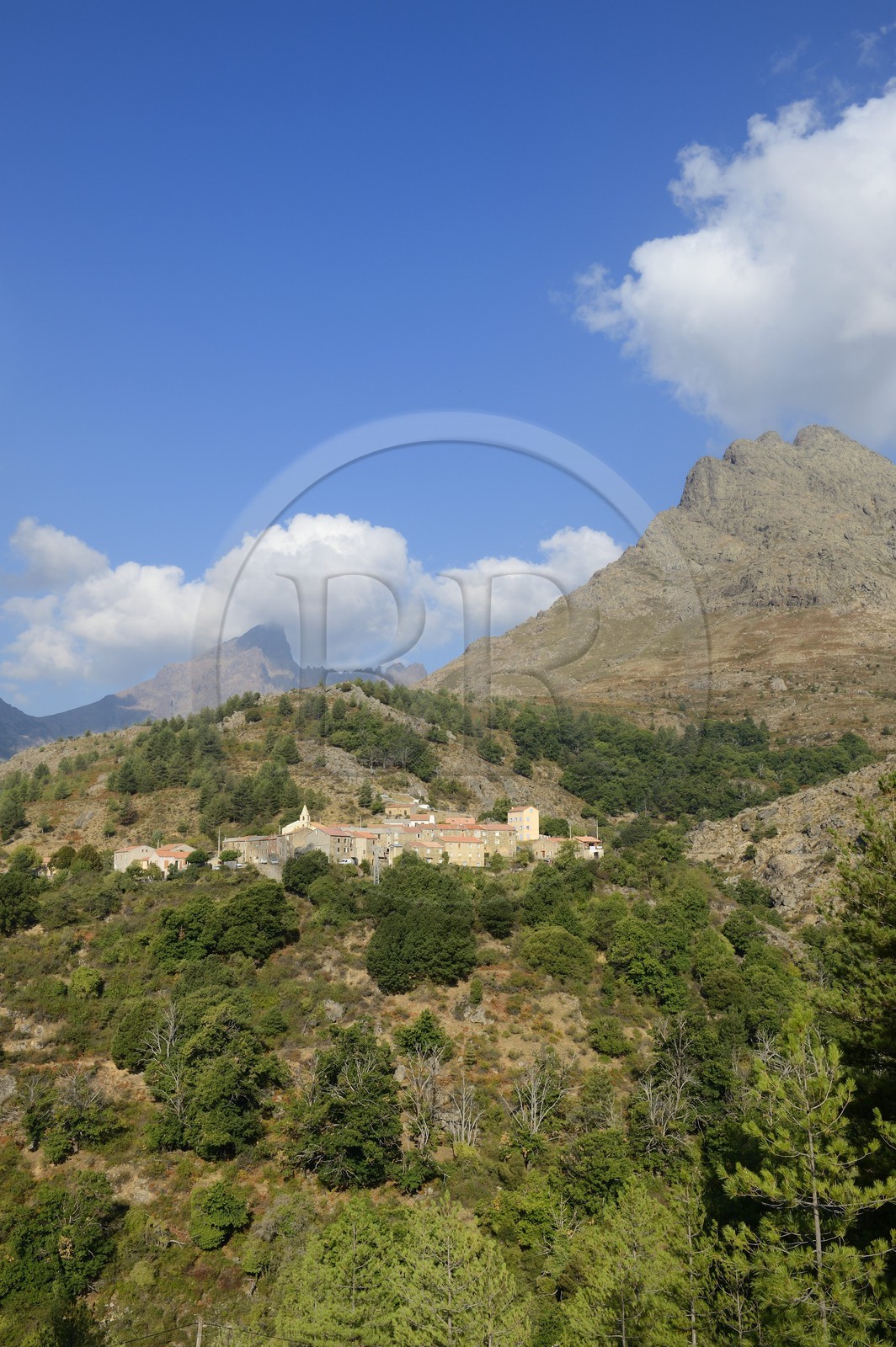France, Haute Corse, Niolu (Niolo) region, Calasima highest village in Corsica (1 095m) at the foot of the Paglia Orba mountain shaped as a shark fin