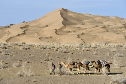 Iran, Isfahan province, Dasht-e Kavir desert, Mesr in Khur and Biabanak County, camel train passing at the foot of sand dunes