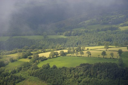 United Kingdom, England, Wales, forest and fields in the Brechfa region in Carmarthenshire (aerial view)