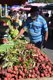 France, Ile de la Reunion, Saint-Pierre, le marché du samedi, les étals de fruits litchi