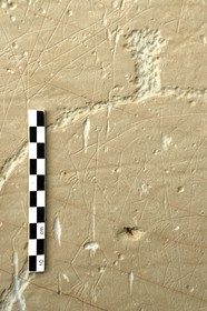 France, Alpes-Maritimes, parc national du Mercantour (Mercantour National Park), the Vallee des Merveilles (Valley of Wonders) scattered with thousands of rupestral engravings of the Bronze Age, the chiappes yellow schist flagstones, linear etchings included in hornlike figure of a man with his sword hanging