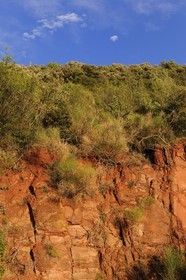 France, Herault, red rocks from the borders of the Salagou Lake