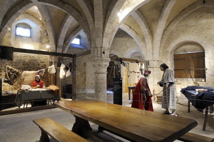 France, Seine et Marne (77), Provins, classée Patrimoine Mondial de l'UNESCO, la Grange aux Dîmes