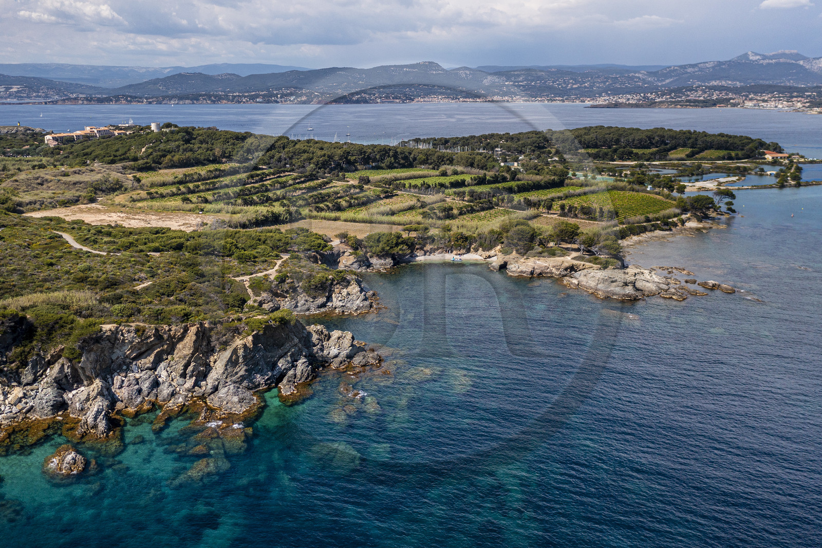 France, Var, Six Fours les Plages, Ile des Embiez, Coucoussa beach in the foreground and vineyard (aerial view)